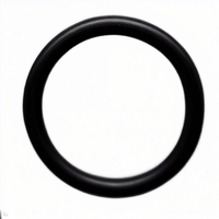 O-ring / NBR Seal for G75-O Coil / Operator