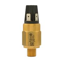 MS-PS | Brass Adjustable Pressure Switch with SPDT Contact  1/8" - 1/4" BSP